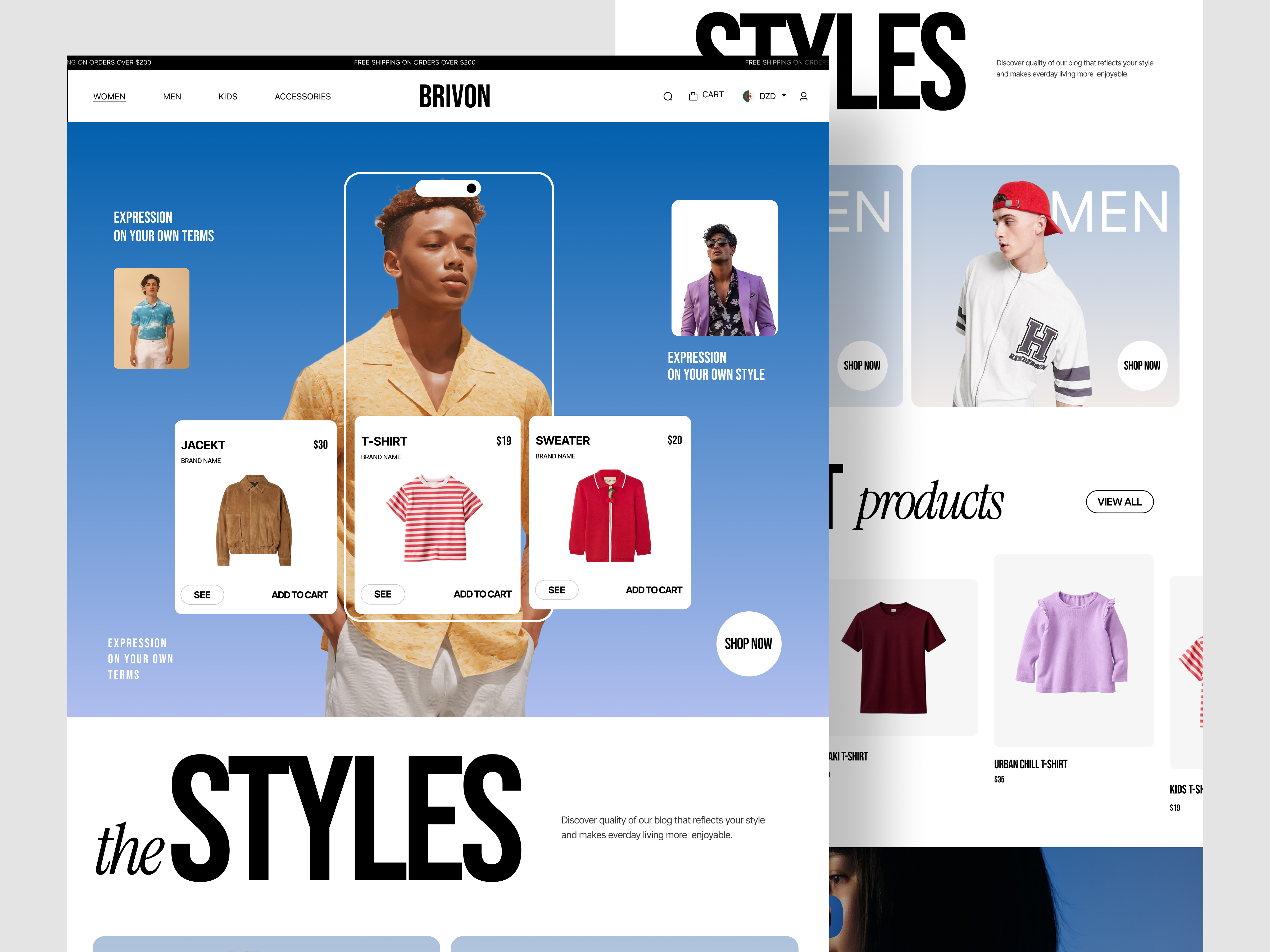 Example of Ecommerce Website Design (10 Pages)