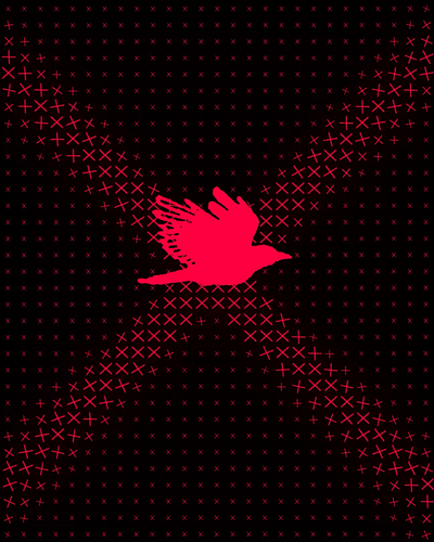 fly bird red bird branding creativedesign design fly graphic design illustration logo move red typography ui ux vector x