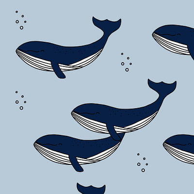 Blue Whales Pattern