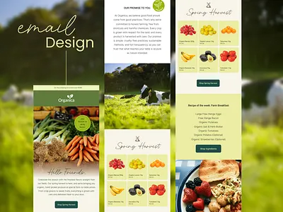 Organic Farm Email Newsletter Design emailmarketing farmtotable klaviyo marketingdesign newsletter organicfarm