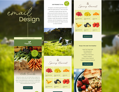 Organic Farm Email Newsletter Design emailmarketing farmtotable klaviyo marketingdesign newsletter organicfarm