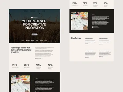 Creative consultant website concept website design