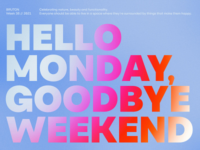 YNF Norman typeface variable font