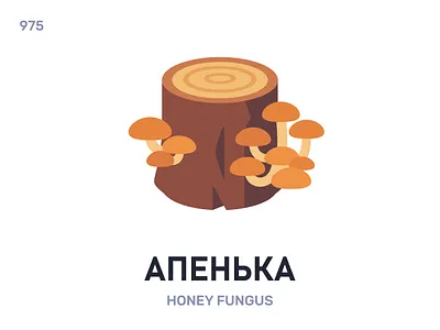 Апéнька / Honey fungus belarus belarusian language daily flat icon illustration vector
