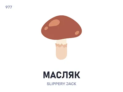 Масля́к / Slippery jack belarus belarusian language daily flat icon illustration vector