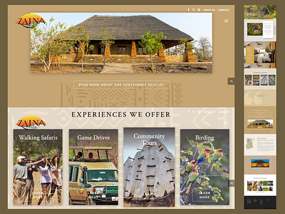 ZAINA – Modern Travel Website Design animation branding illustration minimal modern website ui unique ux website