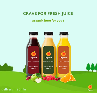 organix brand identity branding design logo
