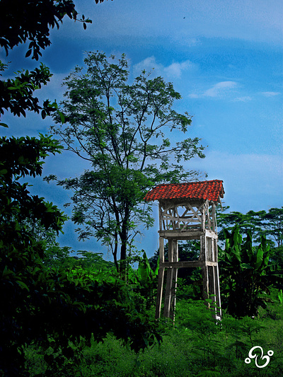 Forlorn turret in verdant susurrus. album batang farm field forest home house indonesia manipulation nature photo photo editing photographer photography photoshop studio tower tropical village zzoe iggi