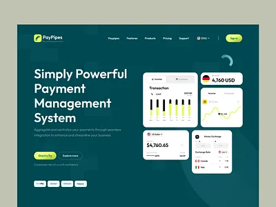 💳 PayPipes – Payment Management System Landing Page design exploration