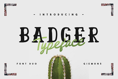 Badger Typeface - 50% OFF badger typeface 50 off display family fonts giemons handma handmade