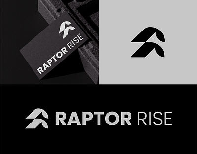 Raptor rise logo branding visual identity
