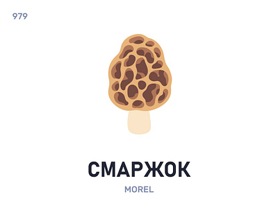 Смаржóк / Morel belarus belarusian language daily flat icon illustration vector word