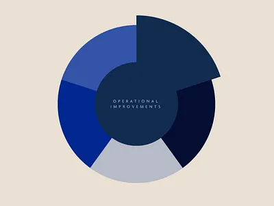 Infographic – Operational Improvements brand identity branding creative design design graphic design illustration vector
