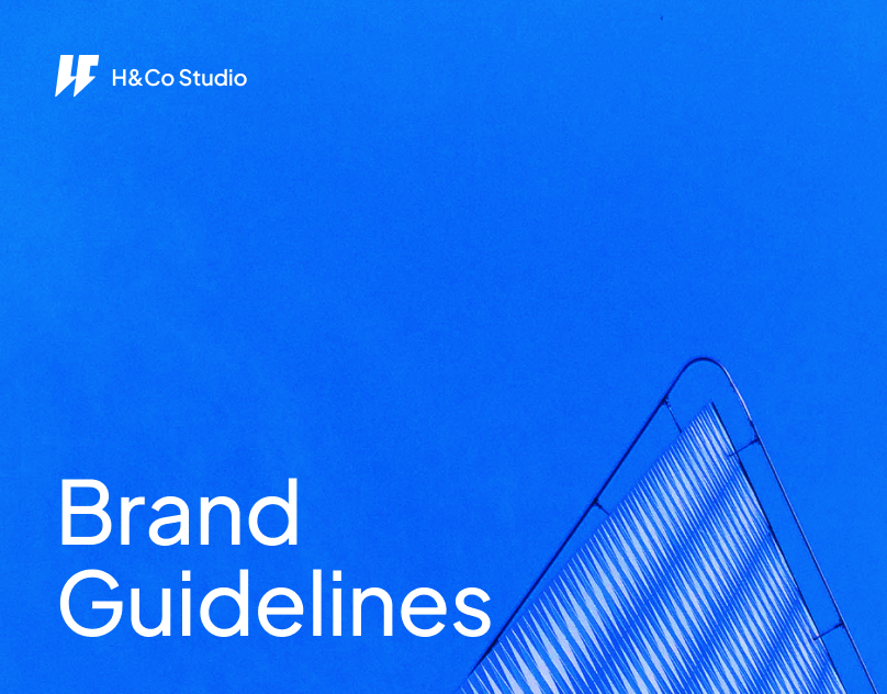 H&Co Studio Brand Identity branding business design graphic design growth guideliness identity illustration logo partner studio ui uiux vector