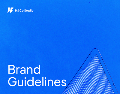 H&Co Studio Brand Identity branding business design graphic design growth guideliness identity illustration logo partner studio ui uiux vector