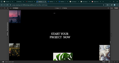 Pinned images scroll Animation interactive ui lottie motion design pin animation scroll animation web animation webflow