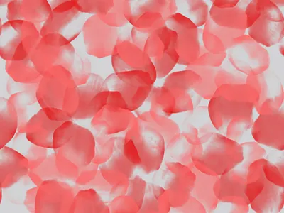 Red Airy Flowers With Petals. Seamless pattern fabric fashion floral flowers pattern petals red seamless textile