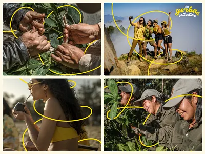 The Yerba Collective Photography art direction loops photography swirls the yerba collective visual identity yerba madre yerba mate