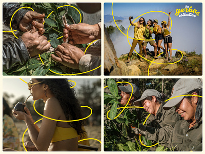 The Yerba Collective Photography art direction loops photography swirls the yerba collective visual identity yerba madre yerba mate