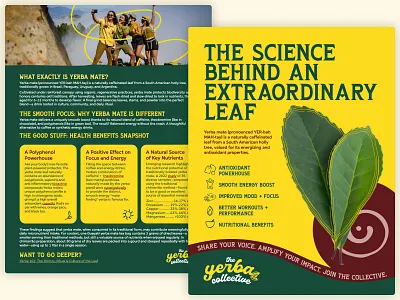 The Yerba Collective PDF brochure flyer green leaves one pager one sheeter pdf science the yerba collective yellow yerba madre yerba mate