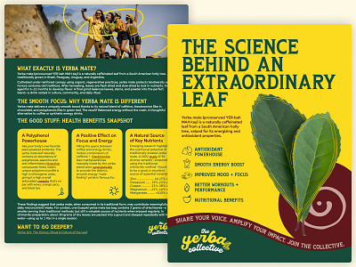 The Yerba Collective PDF brochure flyer green leaves one pager one sheeter pdf science the yerba collective yellow yerba madre yerba mate