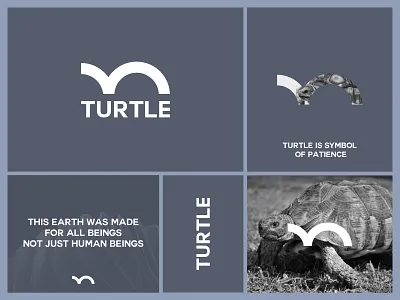 Turtle animalplanet animalshelter animalwildlife animalworld branding creative flat journey logo 2025 logo designer logo make loogo loveanimals minimal logo monogram logo museums patience turtle turtle icon turtles