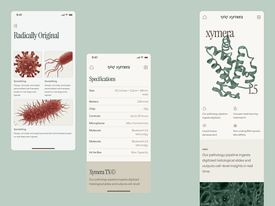 xymera: AI Precision Medicine & RNA Therapeutics - Mobile UI 3d protein structure ai drug discovery biotech landing page biotech ui biotech web design biotech website biotechnology clean computational biology drug discovery green minimal modern molecular biology oncology pathology precision medicine precision medicine website rna diagnostics therapeutic website