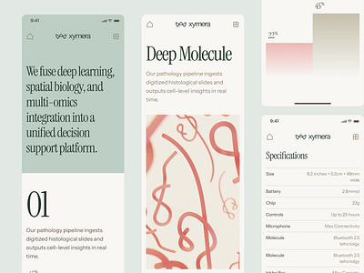 xymera: AI Pathology & Drug Discovery - Mobile Pattern 3d protein structure ai drug discovery biotech landing page biotech ui biotech web design biotech website biotechnology clean computational biology drug discovery green minimal modern molecular biology oncology pathology precision medicine precision medicine website rna diagnostics therapeutic website