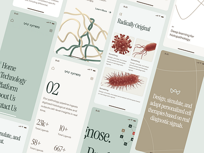 xymera: AI Oncology & RNA Therapeutics Mobile UI 3d protein structure ai drug discovery biotech landing page biotech ui biotech web design biotech website biotechnology clean computational biology drug discovery green minimal modern molecular biology oncology pathology precision medicine precision medicine website rna diagnostics therapeutic website