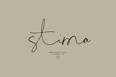 Stima Font calligraphy display display font font font awesome font family graphic design lettering sans serif sans serif font script serif font type typeface typography