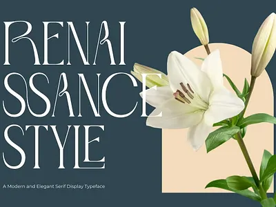 Metro Photograph - Logo Font calligraphy display display font envato envato elements font font awesome font family freebies freebies font freebies font letter lettering modern font modern fonts sans serif sans serif font type typeface typography