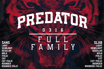 Predator 0316 - Full Family block block font display font display type font predator 0316 full family rounded rounded type sans slab font slab type sports font sports type