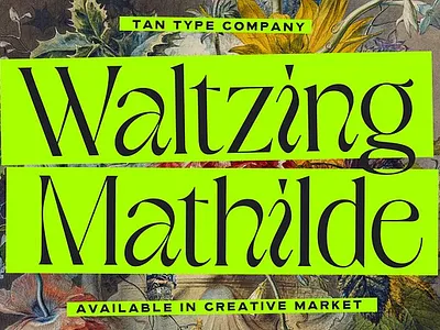 TAN - WALTZING MATHILDE bold branding display font display typeface elegant font elegant typeface font modern quirky font quirky letters retro serif tan waltzing mathilde vintage