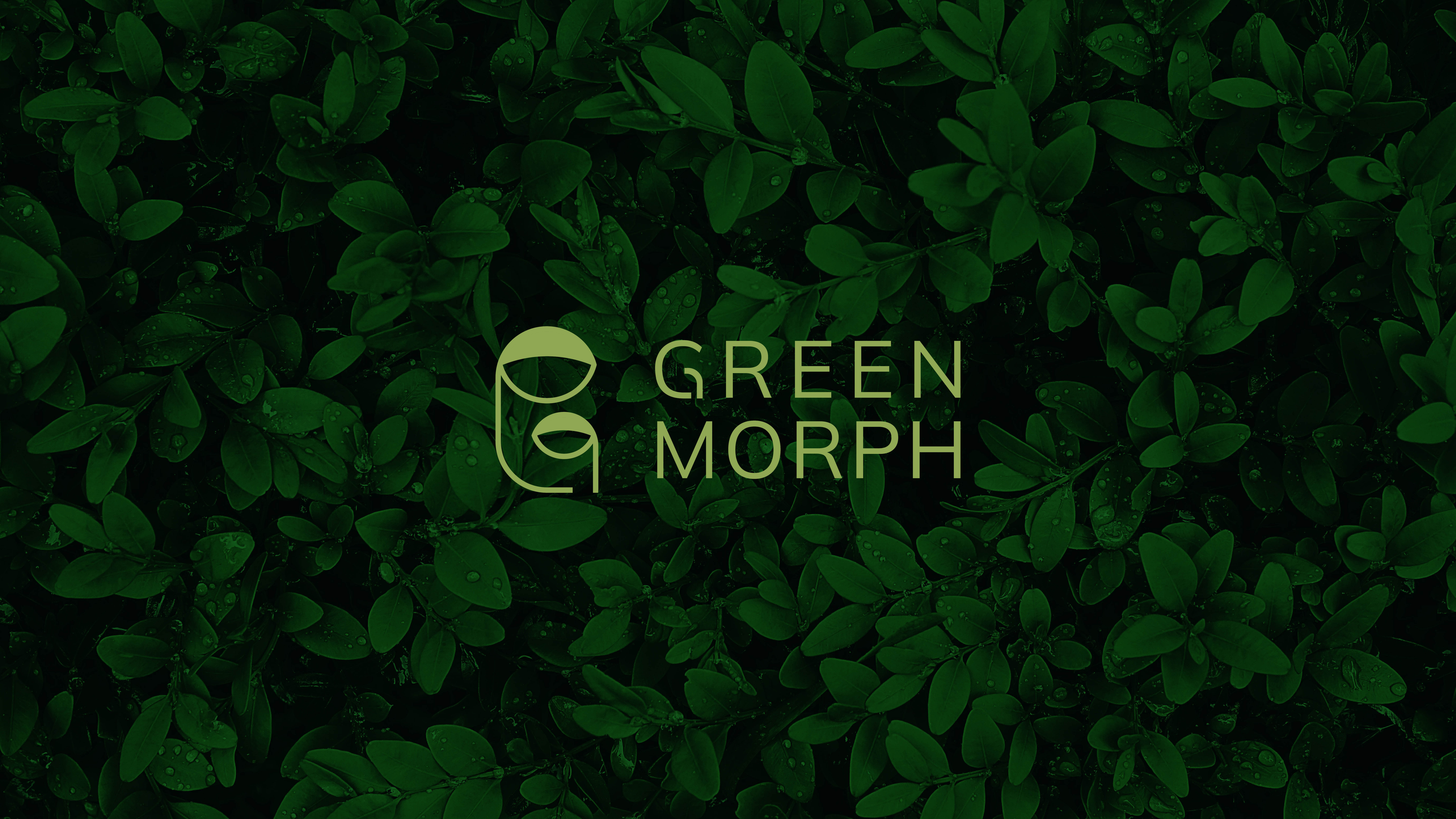 Brand design for Green Morph: a sustainable packaging company. brand identity branding creative logo designer ecofriendly brand logo elegant logo freelance logo designer g logo geometric logo graphic design logo logo and branding logo design logo designer memorable logo minimal logo modern logo simple logo sustainable brand logo unique logo visual identity
