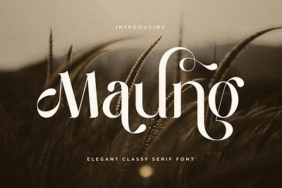 Maung - Elegant Classy Serif Font calligraphy display display font font font awesome font family lettering sans serif sans serif font script serif font type typeface typography