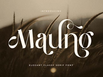 Maung - Elegant Classy Serif Font calligraphy display display font font font awesome font family lettering sans serif sans serif font script serif font type typeface typography