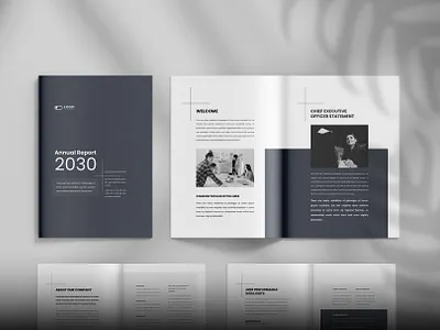Annual report annual report brochure brochure design brochure template company profile design