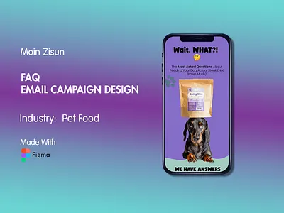 FAQ Email Campaign Design branding creative email email design email marketing figma email figma email design graphic design klaviyo klaviyo email marketing