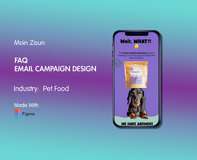 FAQ Email Campaign Design branding creative email email design email marketing figma email figma email design graphic design klaviyo klaviyo email marketing