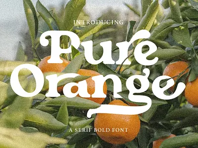 Pure Orange - Serif Bold Font calligraphy display display font font awesome font family freebies freebies font freebies font letter lettering letters modern font modern fonts sans serif sans serif font script serif font type typeface typography