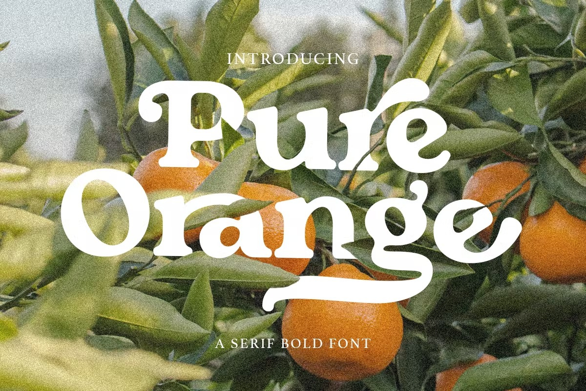 Pure Orange - Serif Bold Font by Richarde Leei on Dribbble