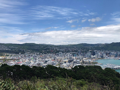 View of Wellington, New Zealand