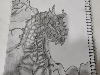 Skyrim Dragon from the game skyrim. art drawing