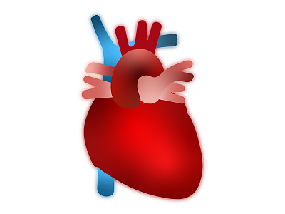 Heart Illustration anatomical heart aravind reddy tarugu brand heart branding graphic design heart heart design heart graphic heart illustration heart logo human heart logo medical heart scientists ui