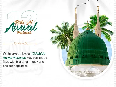 Day of Light & Peace branding graphic design logo ui