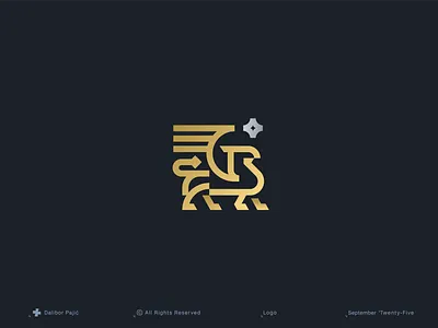 Griffin and Star logo ancient bird bold branding classic elegant finance geometry gold graphic design illustration legacy line art lion logo money mythical creature protector simple vault