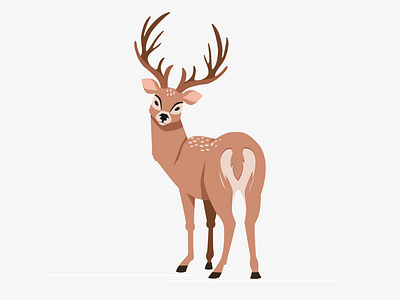 Dear Deer branding design flat graphic design illustration minimal vector