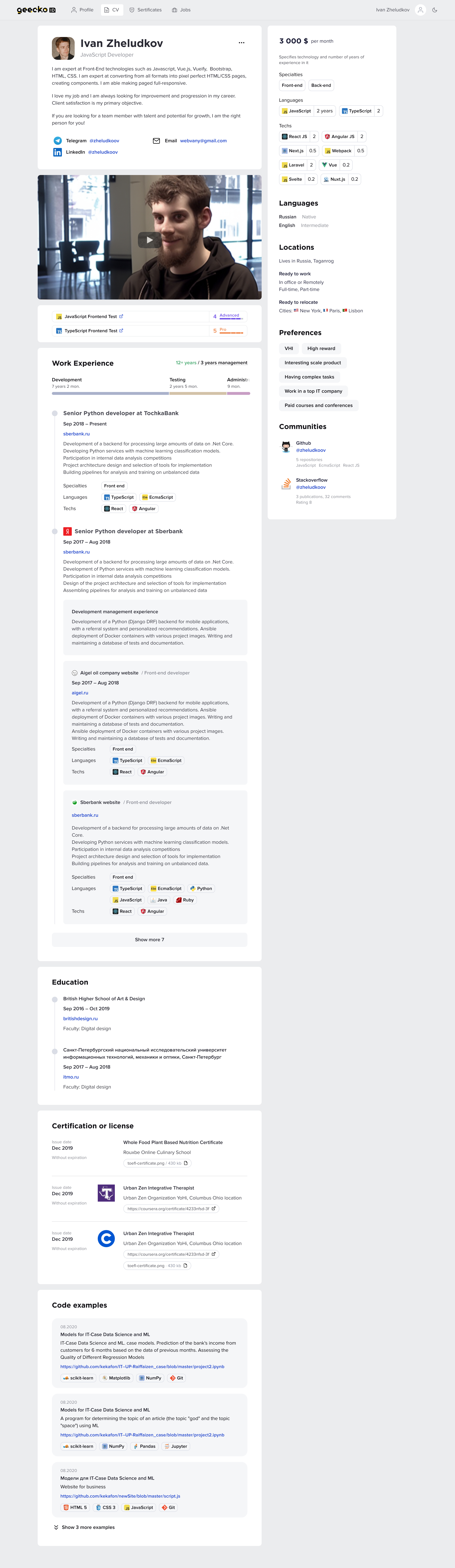 Programmer CV cv experience hr programmer resume stack