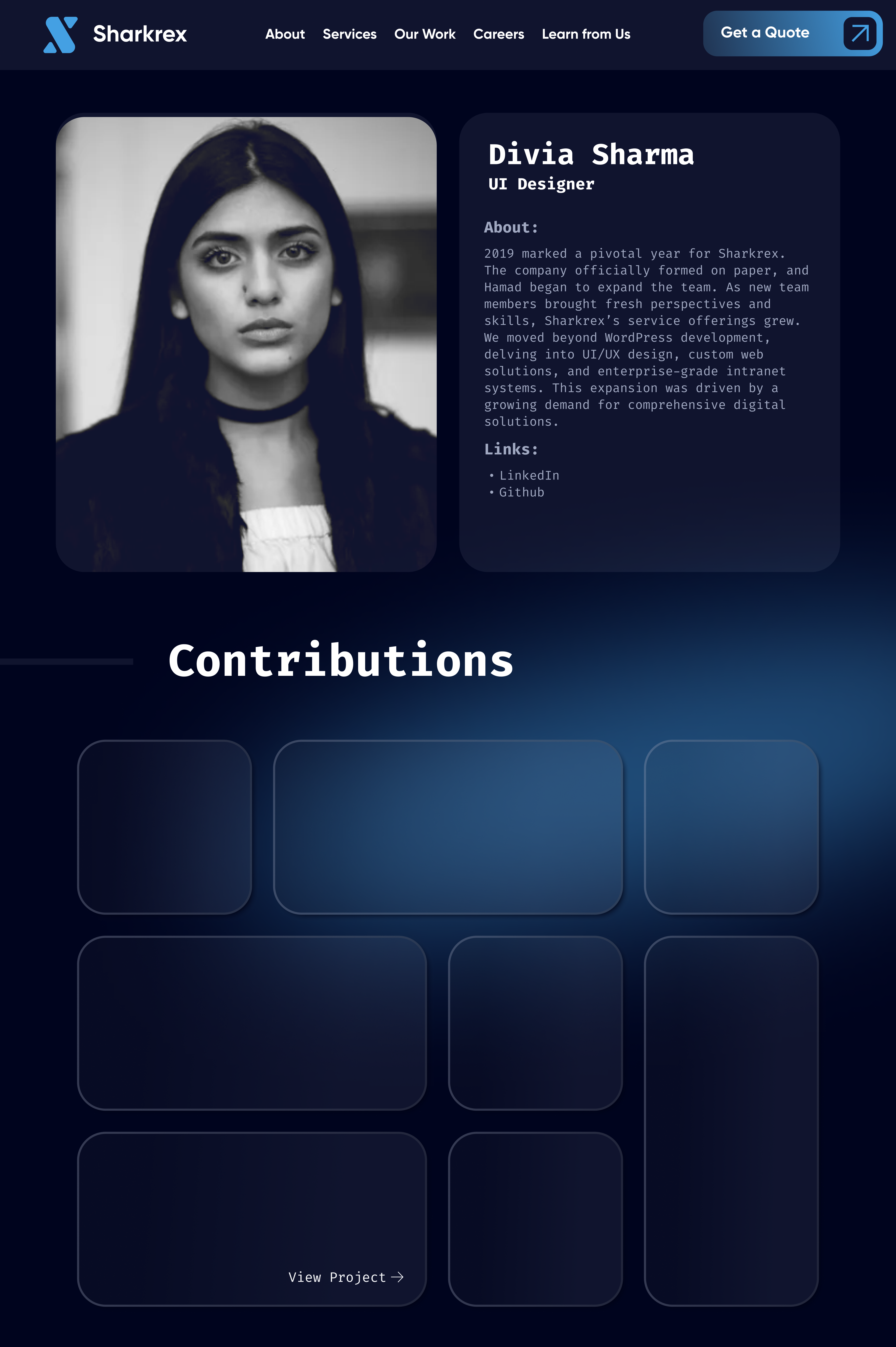 Example of Professional Website UI Deisgn