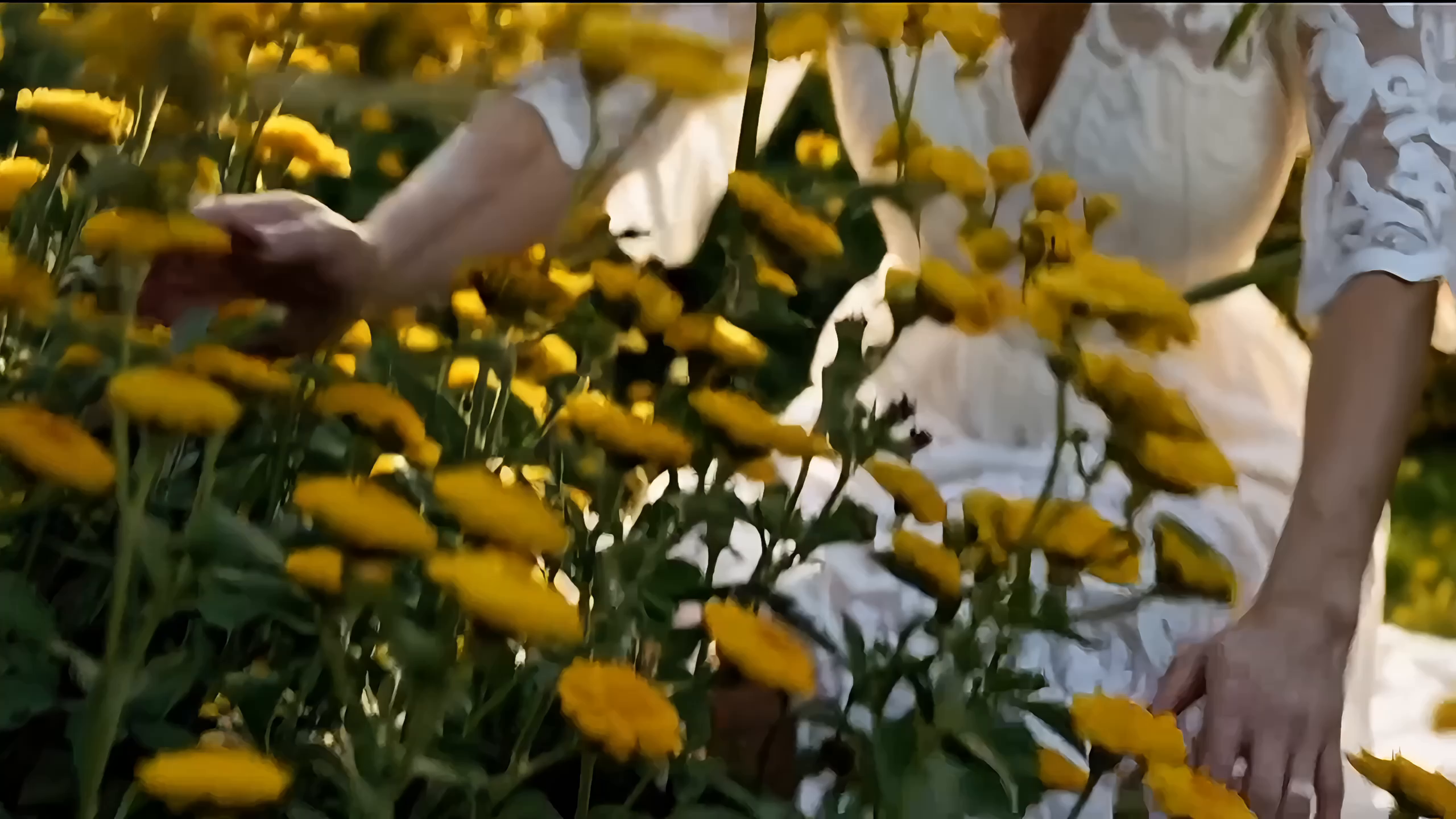 Example of Amazon Design Full Package